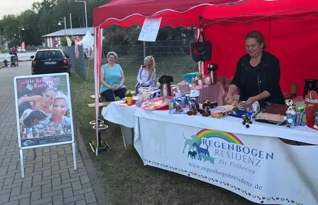 wildau stadtfest der vielfalt 2017 03